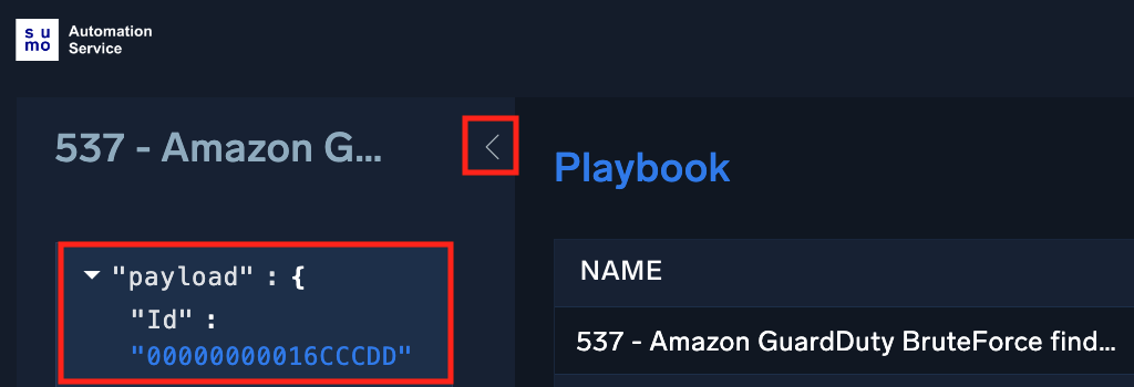 View playbook payload